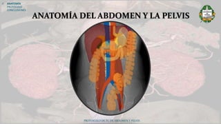PROTOCOLO DE TC DE ABDOMEN Y PELVIS
ANATOMÍA DEL ABDOMEN Y LA PELVIS
 ANATOMÍA
PROTOCOLO
CONCLUSIONES
 