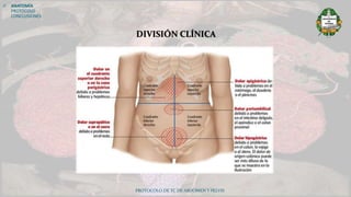 PROTOCOLO DE TC DE ABDOMEN Y PELVIS
 ANATOMÍA
PROTOCOLO
CONCLUSIONES
DIVISIÓN CLÍNICA
 