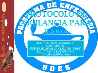 ALFONSO OLARTE BARRERA
         COD: 10281033
UNIVERSIDAD DE SANTANDER “UDES”
    FACULTAD DE ENFERMERIA
       BUCARAMANGA 2010
 