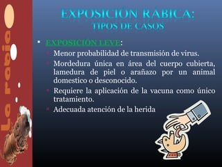  EXPOSICIÓN LEVE:
  Menor probabilidad de transmisión de virus.
  Mordedura única en área del cuerpo cubierta,
   lamedura de piel o arañazo por un animal
   domestico o desconocido.
  Requiere la aplicación de la vacuna como único
   tratamiento.
  Adecuada atención de la herida
 