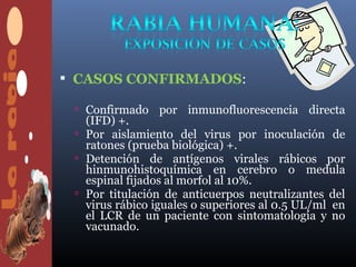  CASOS CONFIRMADOS:

  Confirmado por inmunofluorescencia directa
   (IFD) +.
  Por aislamiento del virus por inoculación de
   ratones (prueba biológica) +.
  Detención de antígenos virales rábicos por
   hinmunohistoquímica en cerebro o medula
   espinal fijados al morfol al 10%.
  Por titulación de anticuerpos neutralizantes del
   virus rábico iguales o superiores al 0.5 UL/ml en
   el LCR de un paciente con sintomatología y no
   vacunado.
 