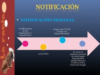  NOTIFICACIÓN SEMANAL:
 