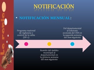  NOTIFICACIÓN MENSUAL:
 
