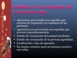  Agresiones provocadas son aquellas que
    ocurren en respuesta a la conducta de las
    personas.
   Agresiones no provocadas son aquellas que
    ocurren espontáneamente.
   Estado de vacunación del animal mordedor.
   Estado de vacunación de la persona agredidas.
   Localización y tipo de agresión.
   En cuanto contacto para un humano positivo
    con rabia.
 