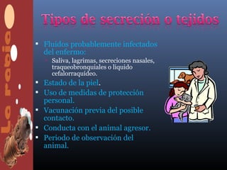  Fluidos probablemente infectados
  del enfermo:
   Saliva, lagrimas, secreciones nasales,
    traqueobronquiales o liquido
    cefalorraquídeo.
 Estado de la piel.
 Uso de medidas de protección
  personal.
 Vacunación previa del posible
  contacto.
 Conducta con el animal agresor.
 Periodo de observación del
  animal.
 