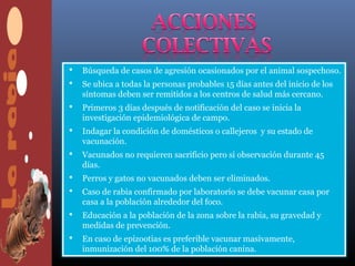    Búsqueda de casos de agresión ocasionados por el animal sospechoso.
   Se ubica a todas la personas probables 15 días antes del inicio de los
    síntomas deben ser remitidos a los centros de salud más cercano.
   Primeros 3 días después de notificación del caso se inicia la
    investigación epidemiológica de campo.
   Indagar la condición de domésticos o callejeros y su estado de
    vacunación.
   Vacunados no requieren sacrificio pero si observación durante 45
    días.
   Perros y gatos no vacunados deben ser eliminados.
   Caso de rabia confirmado por laboratorio se debe vacunar casa por
    casa a la población alrededor del foco.
   Educación a la población de la zona sobre la rabia, su gravedad y
    medidas de prevención.
   En caso de epizootias es preferible vacunar masivamente,
    inmunización del 100% de la población canina.
 