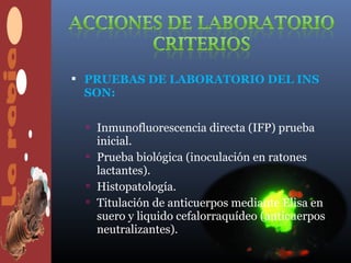  PRUEBAS DE LABORATORIO DEL INS
 SON:

  Inmunofluorescencia directa (IFP) prueba
   inicial.
  Prueba biológica (inoculación en ratones
   lactantes).
  Histopatología.
  Titulación de anticuerpos mediante Elisa en
   suero y liquido cefalorraquídeo (anticuerpos
   neutralizantes).
 