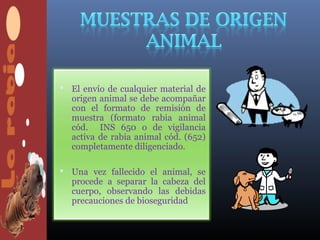  El envío de cualquier material de
  origen animal se debe acompañar
  con el formato de remisión de
  muestra (formato rabia animal
  cód. INS 650 o de vigilancia
  activa de rabia animal cód. (652)
  completamente diligenciado.

 Una vez fallecido el animal, se
  procede a separar la cabeza del
  cuerpo, observando las debidas
  precauciones de bioseguridad
 
