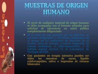  El envío de cualquier material de origen humano
  se debe acompañar con el formato estándar para
  solicitud de laboratorio en salud pública
  completamente diligenciado
 Si se trata de una persona que ha fallecido, se
  enviarán refrigerados y sin formol, fragmentos de
  al menos un (1) centímetro de diámetro de a)
  cerebro (asta de Ammón y corteza temporal); b)
  corteza cerebelosa; c) tallo-mesencéfalo, y d)
  médula espinal cervical C1 al Laboratorio de
  Virología del INS.
 Con pacientes en terapia intensiva pueden ser
  útiles    las   muestras    de   suero,   líquido
  cefalorraquídeo, saliva o improntas de córneas
  bilaterales.
 