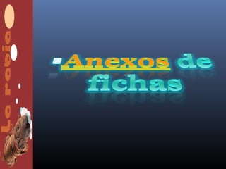 Protocolo de vigilancia para rabia