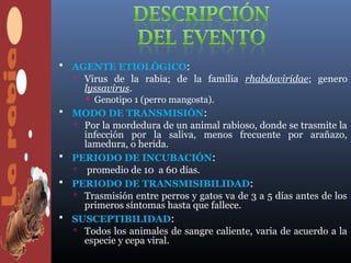  AGENTE ETIOLÓGICO:
     Virus de la rabia; de la familia rhabdoviridae; genero
      lyssavirus.
       Genotipo 1 (perro mangosta).
   MODO DE TRANSMISIÓN:
     Por la mordedura de un animal rabioso, donde se trasmite la
      infección por la saliva, menos frecuente por arañazo,
      lamedura, o herida.
   PERIODO DE INCUBACIÓN:
     promedio de 10 a 60 días.
   PERIODO DE TRANSMISIBILIDAD:
     Trasmisión entre perros y gatos va de 3 a 5 días antes de los
      primeros síntomas hasta que fallece.
   SUSCEPTIBILIDAD:
     Todos los animales de sangre caliente, varia de acuerdo a la
      especie y cepa viral.
 