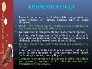  La rabia es mundial, en América latina se presenta en
    zonas urbanas, en Europa, Canadá, USA en zonas
    silvestres.
   Desde 1970 empezaron los controles desde entonces se
    logra mantener un mínimo de casos.
   La trasmisión se esta presentando en diferentes especies.
   Esta en todas la regiones de Colombia la mas critica es la
    costa atlántica, pero siempre hay que mantener un nivel de
    vigilancia evitando nuevos casos en zonas libres.
   La rabia silvestre en el país se transmite por murciélagos y
    zorros.
   Aumento en la rabia trasmitida por murciélagos donde 23
    casos de rabia humana en departamentos como choco,
    Santander, Casanare, cauca y Boyacá.
   Colombia se comprometió en eliminar la rabia transmitida
    por perros y control de la rabia transmitida por
    murciélagos hematófagos.
 