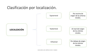 Clasificación por localización.
Suprarrenal
Yuxtarrenal
Infrarenal
Por encima de
origen de las arterias
renales.
Por debajo de origen
de las arterias
renales.
Al nivel del origen
de las arterias
renales.
LOCALIZACIÓN
CAROL KREBS. (2001). DOPPLER COLOR. EU: MARBAN.
 