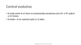 Control evolutivo
• Si mide entre 4 a 5.4cm se recomienda monitoreo con US o TC cada 6
a 12 meses.
• Si mide < 4 cm control cada 2 a 3 años.
CAROL KREBS. (2001). DOPPLER COLOR. EU: MARBAN.
 
