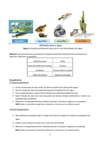 2
Figura 1- Relação de diferentes seres com o nível de afinidade com água.
Material: Para procedermos ao estudo do comportamento das minhocas foram necessários os
seguintes materiais ou utensílios:
Minhocas vivas Pinça
Caixa de cartão (com tampa) Tesoura
Candeeiro Tina de vidro ou metal
Papel de limpeza Esguicho com água
Procedimento:
1ª Parte da experiência
1. Cortar a tampa da caixa de cartão, de forma a dividi-la em duas partes iguais.
2. Forrar o fundo da caixa com papel de limpeza e humedecê-lo com água.
3. Com a ajuda da pinça, colocar duas minhocas em cada extremidade da caixa.
4. Tapar metade da caixa com uma das partes da tampa cortada inicialmente e incidir a luz
projetada pelo candeeiro.
5. Observar o comportamento das minhocas durante 5 minutos e registrar os resultados.
NOTA: Após a conclusão da experiência, devolver as minhocas ao seu habitat natural.
2ª Parte da experiência
1. Num tabuleiro de plástico cobrir metade do fundo com papel de limpeza humedecido com
água.
2. Colocar uma minhoca na zona seca e outra na zona húmida.
3. Observar o comportamento das minhocas durante 5 minutos e registar os resultados.
NOTA: Após a conclusão da experiência, devolver as minhocas ao seu habitat natural.
 