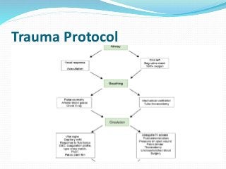 Trauma Protocol
 