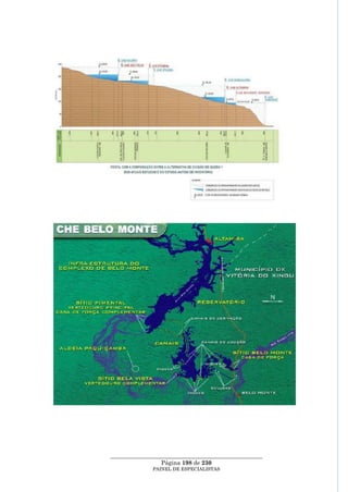 ____________________________________________________
                 Página 198 de 230
              PAINEL DE ESPEC IALISTAS
 