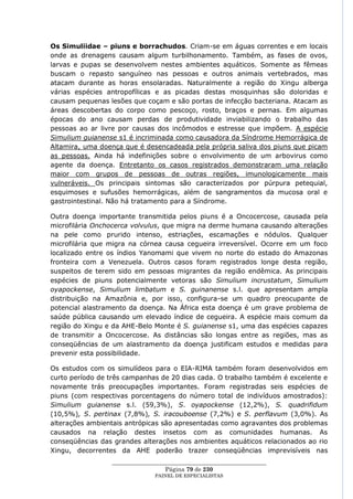 Os Simuliidae – piuns e borrachudos. Criam-se em águas correntes e em locais
onde as drenagens causam algum turbilhonamento. Também, as fases de ovos,
larvas e pupas se desenvolvem nestes ambientes aquáticos. Somente as fêmeas
buscam o repasto sanguíneo nas pessoas e outros animais vertebrados, mas
atacam durante as horas ensolaradas. Naturalmente a região do Xingu alberga
várias espécies antropofílicas e as picadas destas mosquinhas são doloridas e
causam pequenas lesões que coçam e são portas de infecção bacteriana. Atacam as
áreas descobertas do corpo como pescoço, rosto, braços e pernas. Em algumas
épocas do ano causam perdas de produtividade inviabilizando o trabalho das
pessoas ao ar livre por causas dos incômodos e estresse que impõem. A espécie
Simulium guianense s1 é incriminada como causadora da Síndrome Hemorrágica de
Altamira, uma doença que é desencadeada pela própria saliva dos piuns que picam
as pessoas. Ainda há indefinições sobre o envolvimento de um arbovirus como
agente da doença. Entretanto os casos registrados demonstraram uma relação
maior com grupos de pessoas de outras regiões, imunologicamente mais
vulneráveis. Os principais sintomas são caracterizados por púrpura petequial,
esquimoses e sufusões hemorrágicas, além de sangramentos da mucosa oral e
gastrointestinal. Não há tratamento para a Síndrome.

Outra doença importante transmitida pelos piuns é a Oncocercose, causada pela
microfilária Onchocerca volvulus, que migra na derme humana causando alterações
na pele como prurido intenso, estriações, escamações e nódulos. Qualquer
microfilária que migra na córnea causa cegueira irreversível. Ocorre em um foco
localizado entre os índios Yanomami que vivem no norte do estado do Amazonas
fronteira com a Venezuela. Outros casos foram registrados longe desta região,
suspeitos de terem sido em pessoas migrantes da região endêmica. As principais
espécies de piuns potencialmente vetoras são Simulium incrustatum, Simulium
oyapockense, Simulium limbatum e S. guinanense s.l. que apresentam ampla
distribuição na Amazônia e, por isso, configura-se um quadro preocupante de
potencial alastramento da doença. Na África esta doença é um grave problema de
saúde pública causando um elevado índice de cegueira. A espécie mais comum da
região do Xingu e da AHE-Belo Monte é S. guianense s1, uma das espécies capazes
de transmitir a Oncocercose. As distâncias são longas entre as regiões, mas as
conseqüências de um alastramento da doença justificam estudos e medidas para
prevenir esta possibilidade.

Os estudos com os simulídeos para o EIA-RIMA também foram desenvolvidos em
curto período de três campanhas de 20 dias cada. O trabalho também é excelente e
novamente trás preocupações importantes. Foram registradas seis espécies de
piuns (com respectivas porcentagens do número total de indivíduos amostrados):
Simulium guianense s.l. (59,3%), S. oyapockense (12,2%), S. quadrifidum
(10,5%), S. pertinax (7,8%), S. iracouboense (7,2%) e S. perflavum (3,0%). As
alterações ambientais antrópicas são apresentadas como agravantes dos problemas
causados na relação destes insetos com as comunidades humanas. As
conseqüências das grandes alterações nos ambientes aquáticos relacionados ao rio
Xingu, decorrentes da AHE poderão trazer conseqüências imprevisíveis nas
                 ____________________________________________________
                                   Página 79 de 230
                               PAINEL DE ESPEC IALISTAS
 