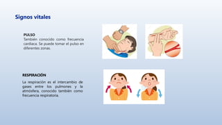 Signos vitales
PULSO
También conocido como frecuencia
cardiaca. Se puede tomar el pulso en
diferentes zonas.
RESPIRACIÓN
La respiración es el intercambio de
gases entre los pulmones y la
atmósfera, conocido también como
frecuencia respiratoria.
 