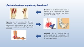 ¿Qué son fracturas, esguinces y luxaciones?
Fractura, es la deformación lineal o
pérdida de la continuidad del hueso
ocasionado por fuerzas que sobre
pasan la elasticidad ósea.
Luxación, es la pérdida de la
uniformidad de la articulación. El
hueso se desplaza fuera del lugar que
ocupa la articulación.
Esguince, es la consecuencia de una
torcedura por movimientos bruscos
voluntarios o involuntarios, en la que se
produce una lesión a nivel de los ligamentos
articulares.
 