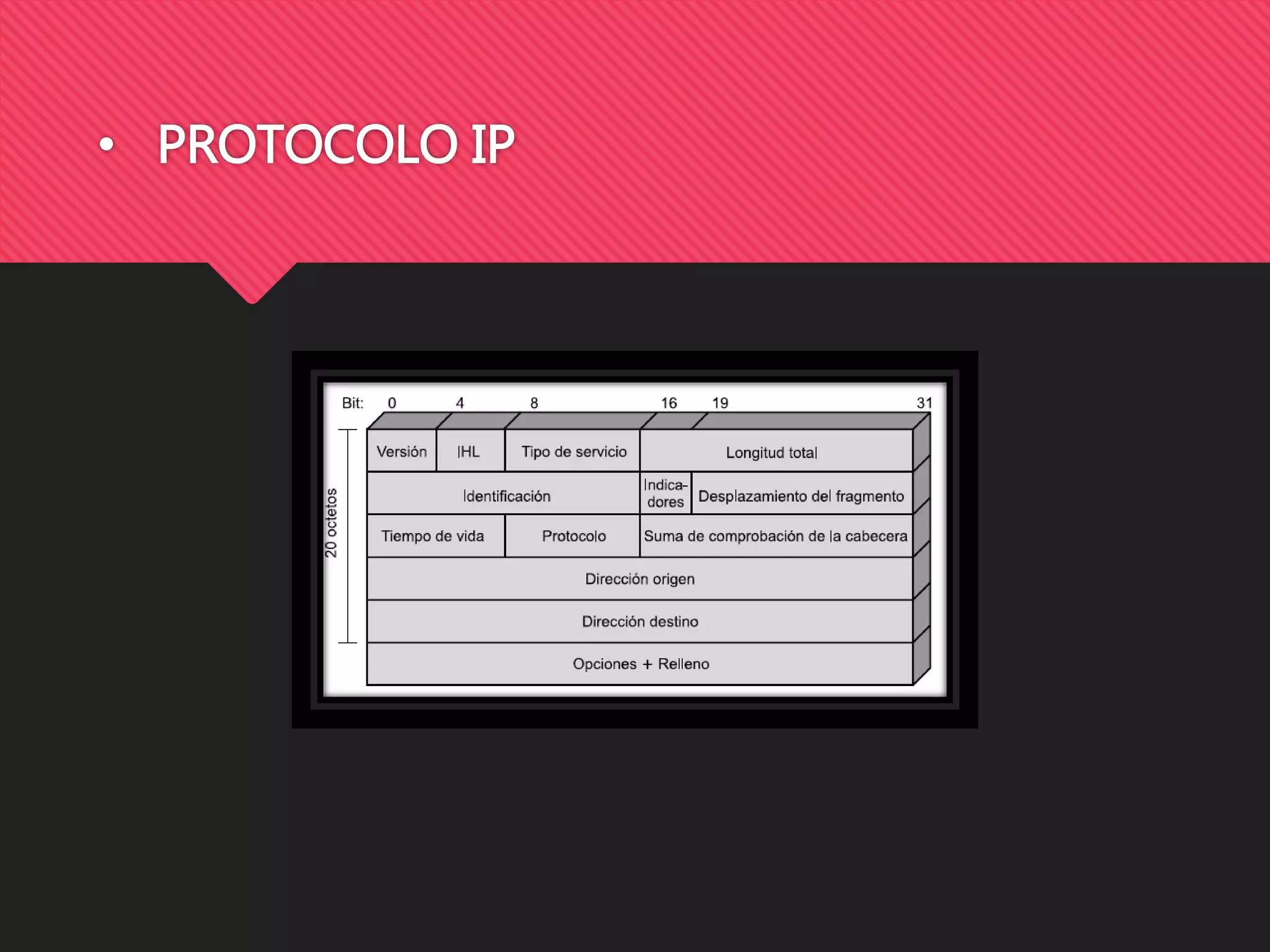 • PROTOCOLO IP
 