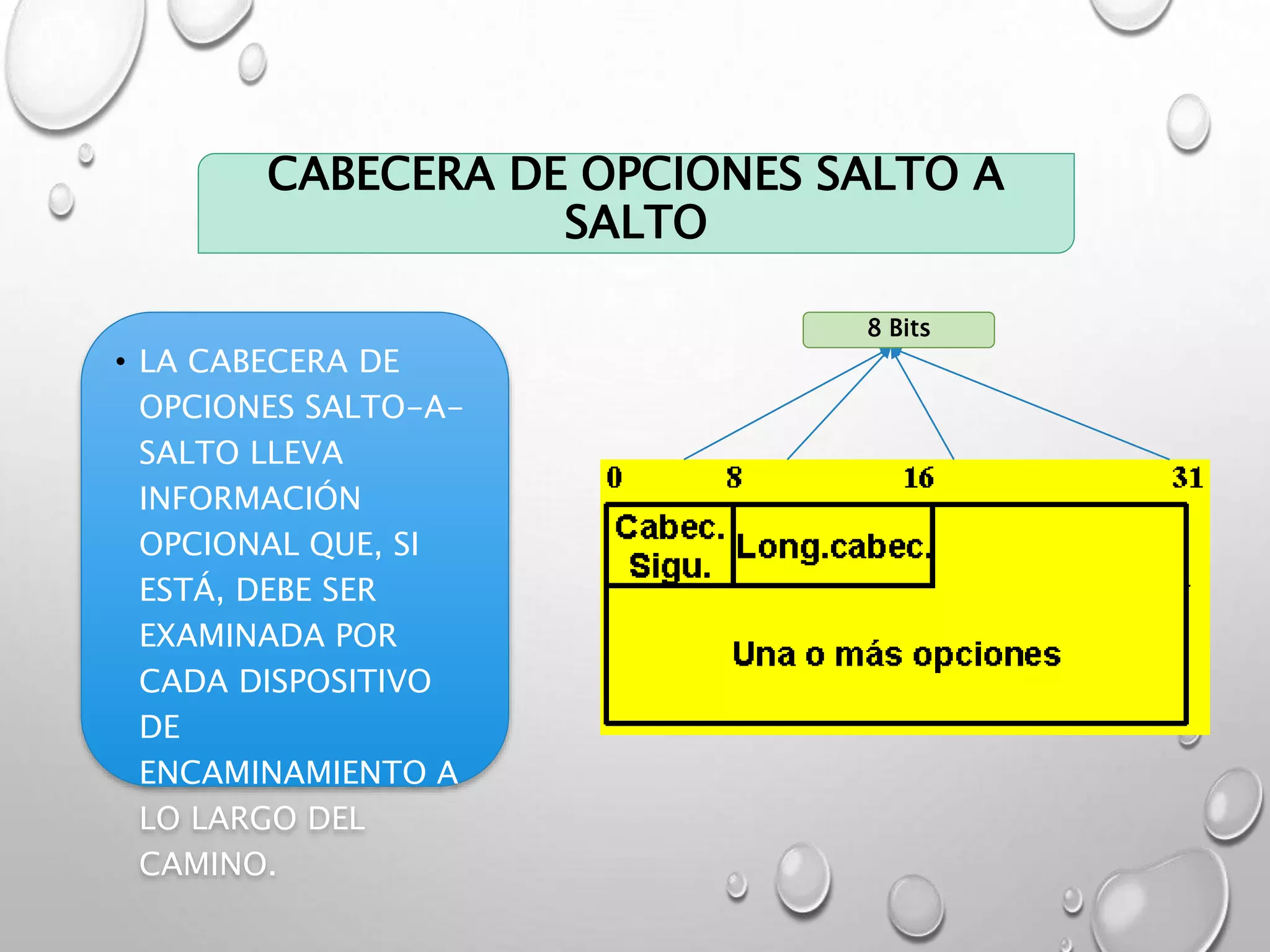 CABECERA DE OPCIONES SALTO A
SALTO
• LA CABECERA DE
OPCIONES SALTO-A-
SALTO LLEVA
INFORMACIÓN
OPCIONAL QUE, SI
ESTÁ, DEBE SER
EXAMINADA POR
CADA DISPOSITIVO
DE
ENCAMINAMIENTO A
LO LARGO DEL
CAMINO.
8 Bits
 