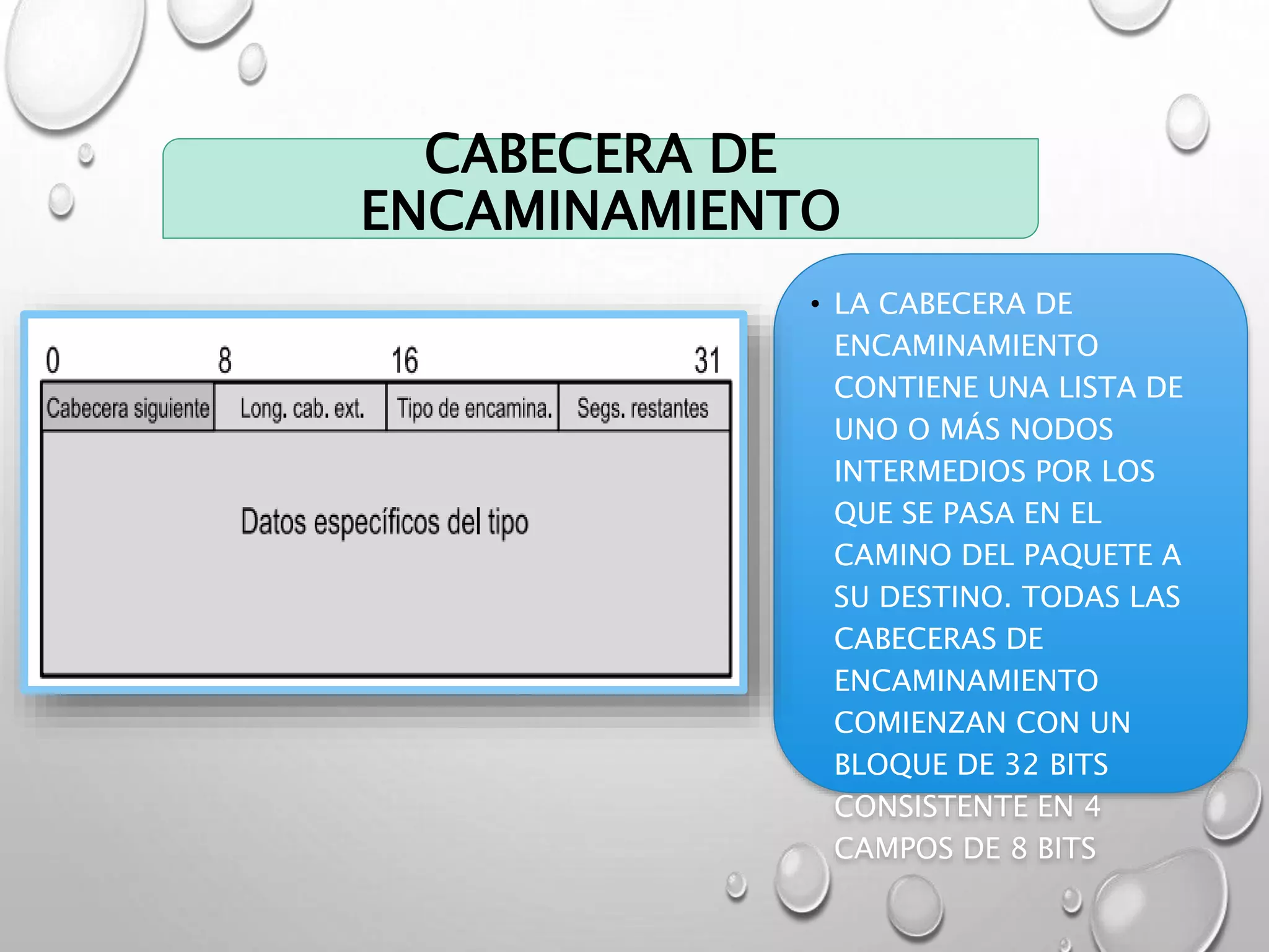 CABECERA DE
ENCAMINAMIENTO
• LA CABECERA DE
ENCAMINAMIENTO
CONTIENE UNA LISTA DE
UNO O MÁS NODOS
INTERMEDIOS POR LOS
QUE SE PASA EN EL
CAMINO DEL PAQUETE A
SU DESTINO. TODAS LAS
CABECERAS DE
ENCAMINAMIENTO
COMIENZAN CON UN
BLOQUE DE 32 BITS
CONSISTENTE EN 4
CAMPOS DE 8 BITS
 