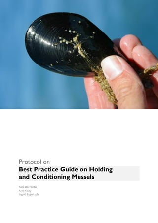 Protocol on
Best Practice Guide on Holding
and Conditioning Mussels
Sara Barrento
Alex Keay
Ingrid Lupatsch

 