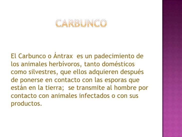 Si cura el petróleo el hongo de las uñas