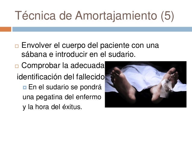 Significado De Postmortem : post mortem – ISPL