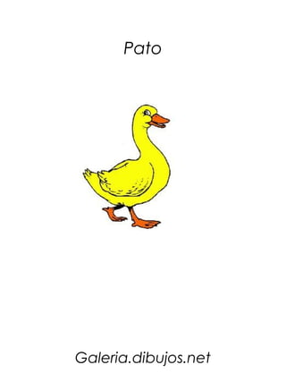 Pato




Galeria.dibujos.net
 