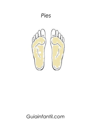 Pies




Guiainfantil.com
 