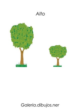 Alto




Galeria.dibujos.ner
 