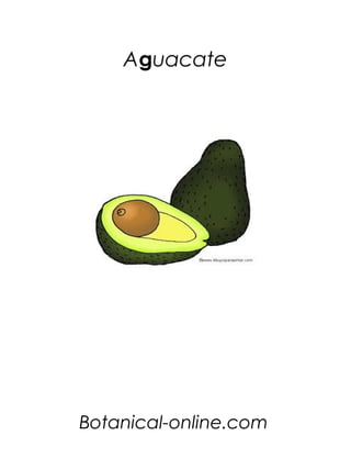 Aguacate




Botanical-online.com
 