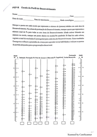você sabe o que é pep 8? - guia para um código... Protocolo resposta pep r | PDF