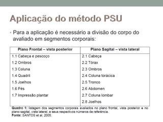 • Para a aplicação é necessário a divisão do corpo do
avaliado em segmentos corporais:
 