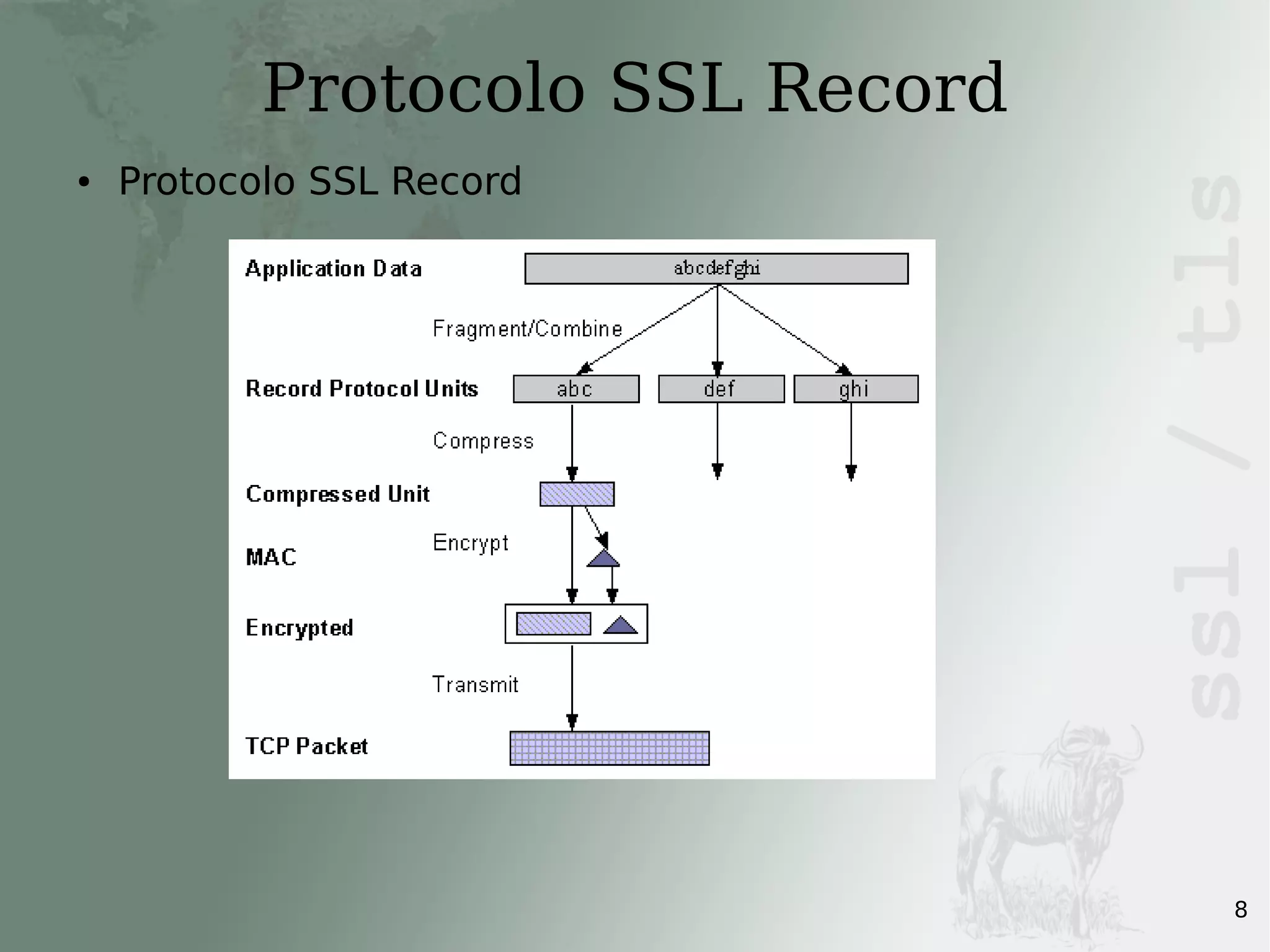 Protocolos SSL/TLS | PDF | Technology & Computing