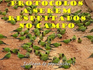 Protocolos
a serem
respeitados
no campo
Ecologia de populações
 