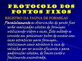 Paralelamente as observações de ponto fixo
serão realizadas coletas de formigas
utilizando vidros e iscas. Este método se
consiste em posicionar tubos de ensaio com
iscas atrativas para formigas..
Utilizamos como atrativo a isca de
salsicha por ser muito eficiente e para
padronizar coletas, de baixo custo e
facilmente encontrada.
Protocolo dos
Pontos Fixos
Registro da fauna De Formigas
 