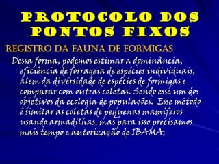 Dessa forma, podemos estimar a dominância,
eficiência de forrageia de espécies individuais,
alem da diversidade de espécies de formigas e
comparar com outras coletas. Sendo esse um dos
objetivos da ecologia de populações. Esse método
é similar as coletas de pequenas mamíferos
usando armadilhas, mas para isso precisamos
mais tempo e autorização de IBAMA;
Protocolo dos
Pontos Fixos
Registro da fauna De Formigas
 