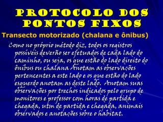Como no próprio método diz, todos os registros
possíveis deverão ser efetuados de cada lado do
caminho, ou seja, os que estão do lado direito do
ônibus ou chalana Anotam as observações
pertencentes a este lado e os que estão do lado
esquerdo anotam as deste lado. Anotam suas
observações por trechos indicados pelo grupo de
monitores e professor com horas de partida e
chegada, utm de partida e chegada, animais
observados e anotações sobre o habitat.
Protocolo dos
Pontos Fixos
Transecto motorizado (chalana e ônibus)
 