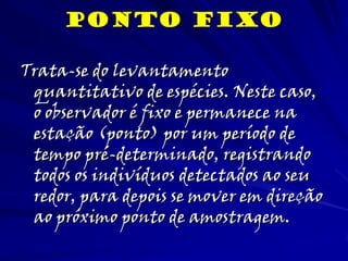 Ponto Fixo
Trata-se do levantamento
quantitativo de espécies. Neste caso,
o observador é fixo e permanece na
estação (ponto) por um período de
tempo pré-determinado, registrando
todos os indivíduos detectados ao seu
redor, para depois se mover em direção
ao próximo ponto de amostragem.
 