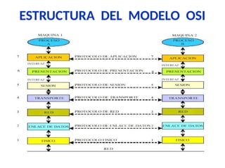 ESTRUCTURA DEL MODELO OSI
 