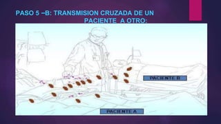 PASO 5 –B: TRANSMISION CRUZADA DE UN
PACIENTE A OTRO:
 