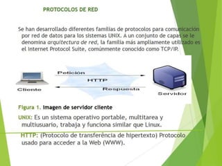 Protocolos de red