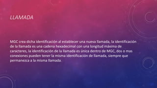 LLAMADA
MGC crea dicha identificación al establecer una nueva llamada, la identificación
de la llamada es una cadena hexadecimal con una longitud máxima de
caracteres, la identificación de la llamada es única dentro de MGC, dos o mas
conexiones pueden tener la misma identificación de llamada, siempre que
permanezca a la misma llamada.
 