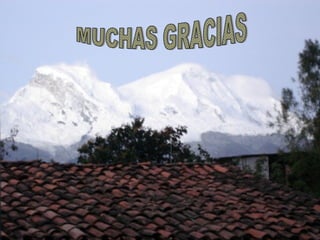 Protocolos en tomografia pediatrica