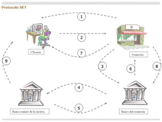 Protocolo set | PPT