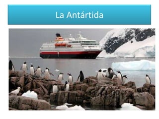 Territorios Antárticos Reino Unido (Territorio Antártico Británico, en inglés British AntarcticTerritory), territorio de ultramar, superpuesto totalmente con la reclamación argentina (islas Malvinas)