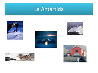 La Antártida